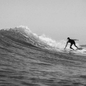 Rob Mehl